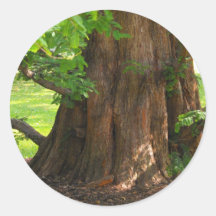 Arbre louche autocollants
