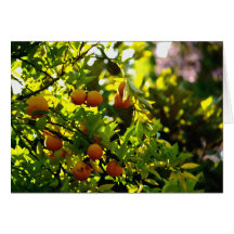 Arbre orange dans l'aquarelle carte de vœux