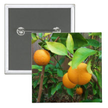 Arbre orange pin's