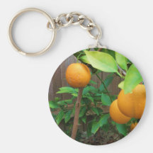 Arbre orange porte-clés