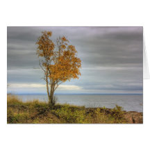 Arbre par le lac cartes de vœux
