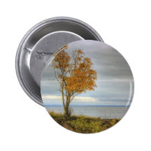 Arbre par le lac pin's avec agrafe