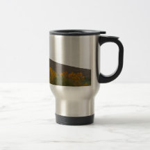 Arbre solitaire sur un flanc de coteau tasses