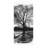 Arbre stérile de branches modèle de double carte