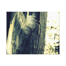 ARBRE TOILE TENDUE