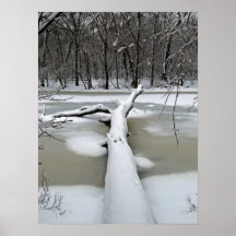 Arbre tombé en affiche d'hiver