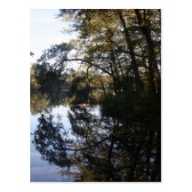 Arbres à la carte postale de lac