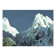 Arbres blancs comme neige cartons d'invitation personnalisés