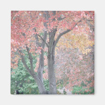 Arbres d'automne aimants