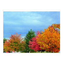 Arbres d'automne cartes postales