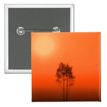 Arbres de citrouille badges