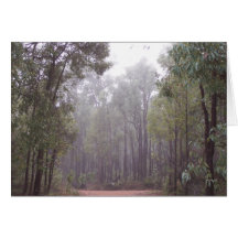 Arbres de gomme cartes de vœux