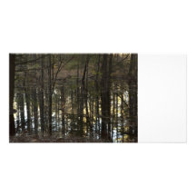 Arbres de l'eau III Carte Avec Photo