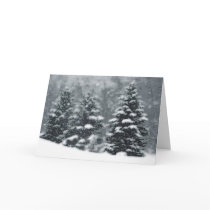 Arbres d'hiver