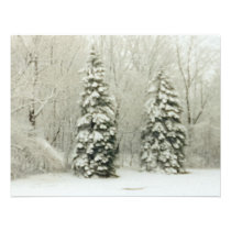 arbres invitations