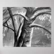 arbres affiche