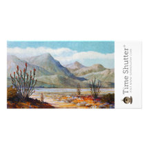 Arbuste d'Ocotilla Cartes Avec Photo