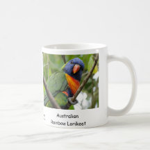 Arc-en-ciel australien Lorikeet Tasse À Café