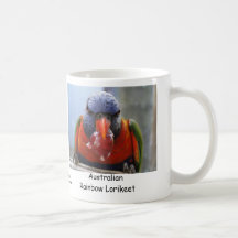 Arc-en-ciel australien Lorikeet Tasse À Café