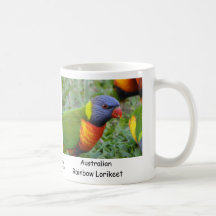 Arc-en-ciel australien Lorikeet Tasses
