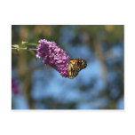 Arrêtez et sentez les fleurs carte postale