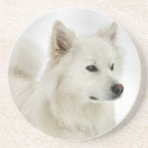 Art américain de chien esquimau dessous de verre
