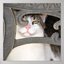 Art de mur de toile de Boris Kitty Affiche