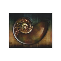 Art de Shell Toiles Tendues