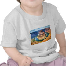 art-Horseshoe_Bend_Colorado_River Tshirt