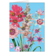 Art imprimé par cru floral de dessin d'illustratio cartes de vœux