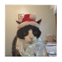 Articles de vacances de Poopy Kitty Carreau