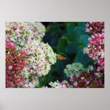 Artistieke die Vertolking van Vlinder op Bloemen w Afdruk