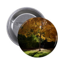 Ashland 1 badge avec épingle