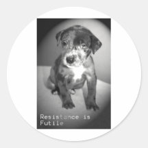 Assimilator van het puppy sticker