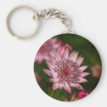 Astrantia rose porte-clés
