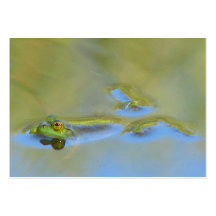 ATC de flottement de grenouille Carte De Visite