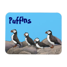 Atlantic Puffins Rectangular Magnets