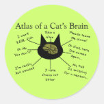 Atlas du cerveau d'un chat autocollant