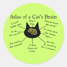 Atlas du cerveau d'un chat autocollant