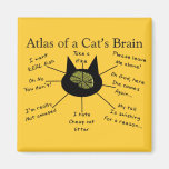 Atlas du cerveau d'un chat magnets pour réfrigérateur