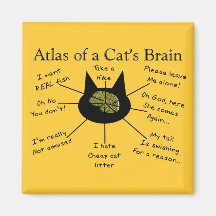Atlas du cerveau d'un chat magnets pour réfrigérateur