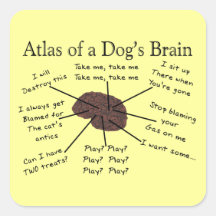 Atlas du cerveau d'un chien autocollant carré