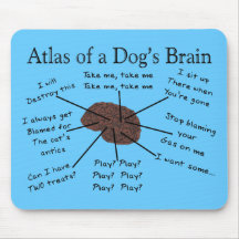 Atlas du cerveau d'un chien tapis de souris
