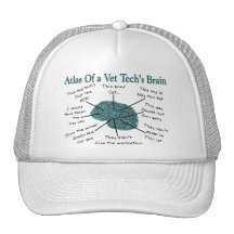 Atlas du cerveau d'une technologie de vétérinaire casquette