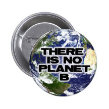 Aucune planète B Pin's