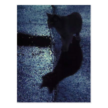 Aussi noir que la nuit carte postale