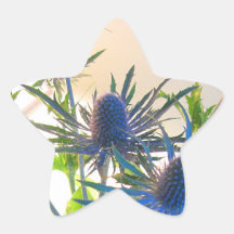 Autocollant bleu d'étoile de fleur