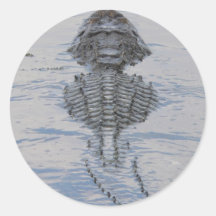 Autocollant d'alligator de la Floride