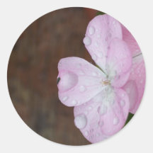 Autocollant de fleurs et de gouttes de pluie