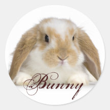 Autocollant de lapin